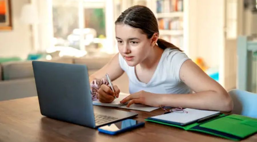 Dissertation Writing Services